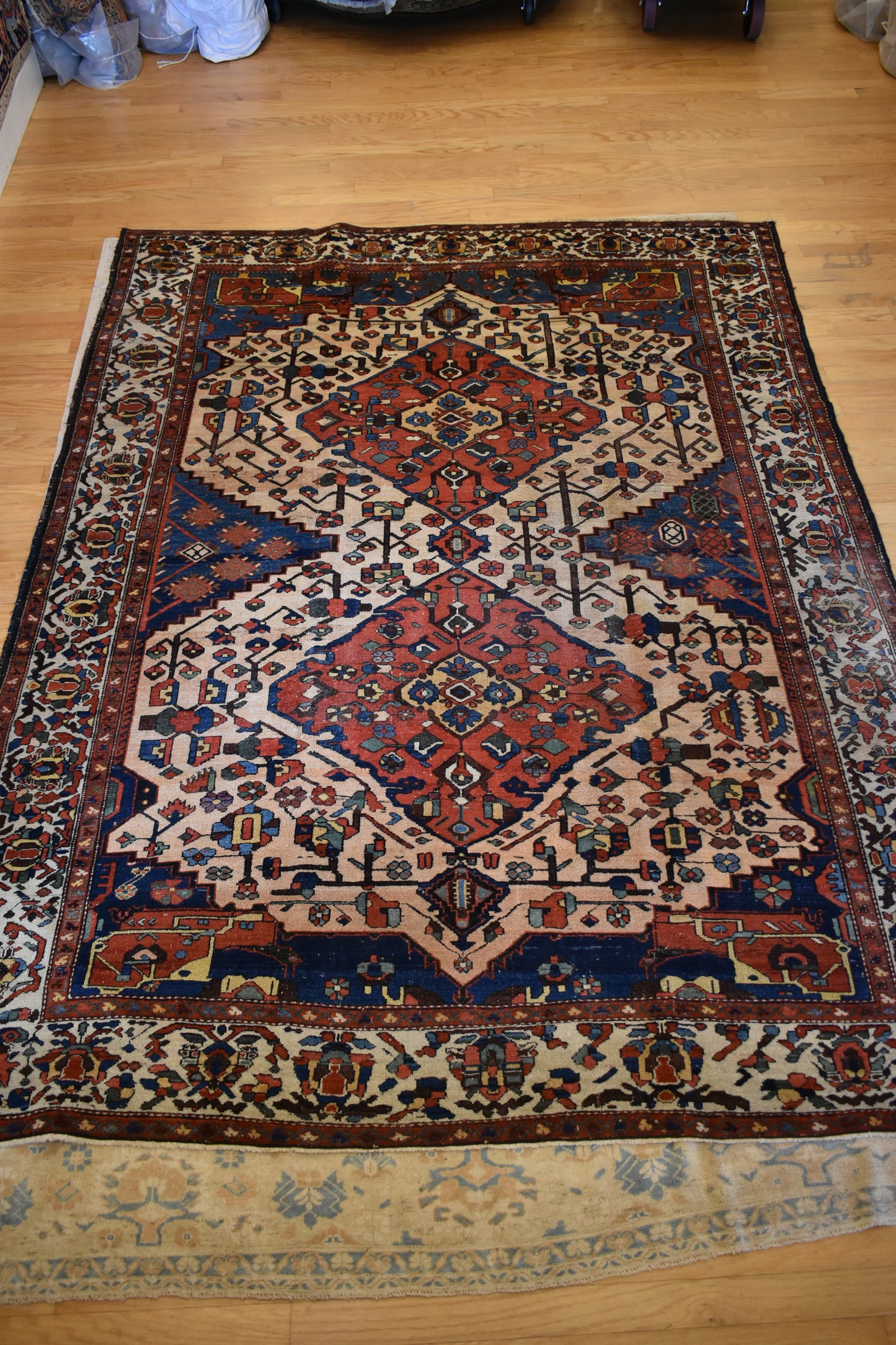 Persian Baktarie - 7.5x10.2 - 66941