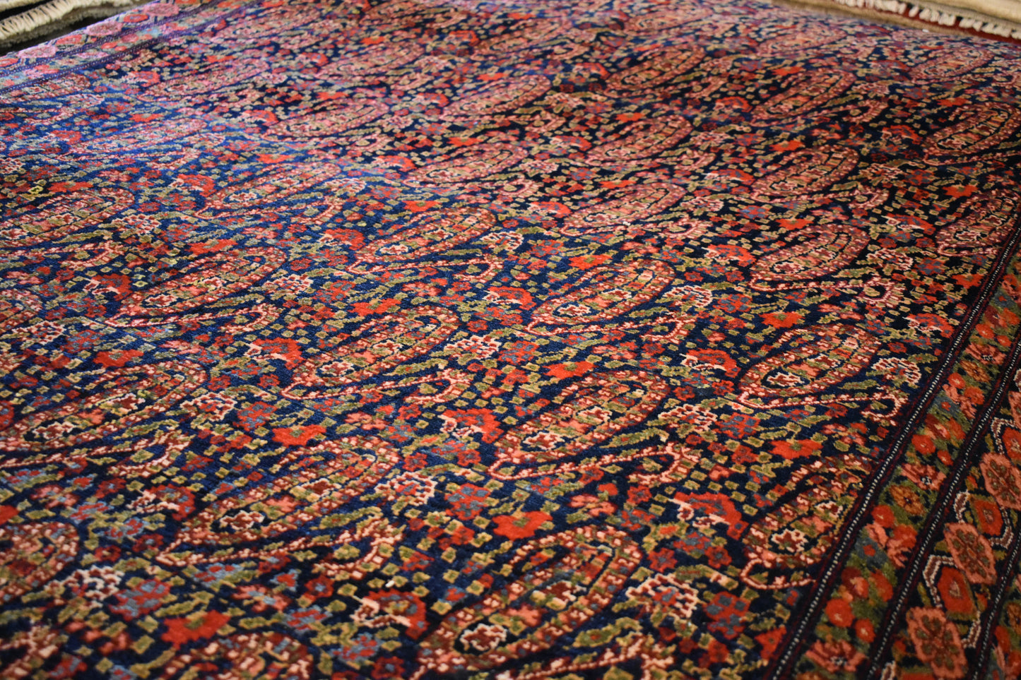 Persian Senneh - 4.6x6.10 - 41417