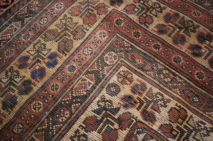Persian Baktarie Rug, 10'6" x 13'2", in brick, brown, cocoa and gold - photo 3