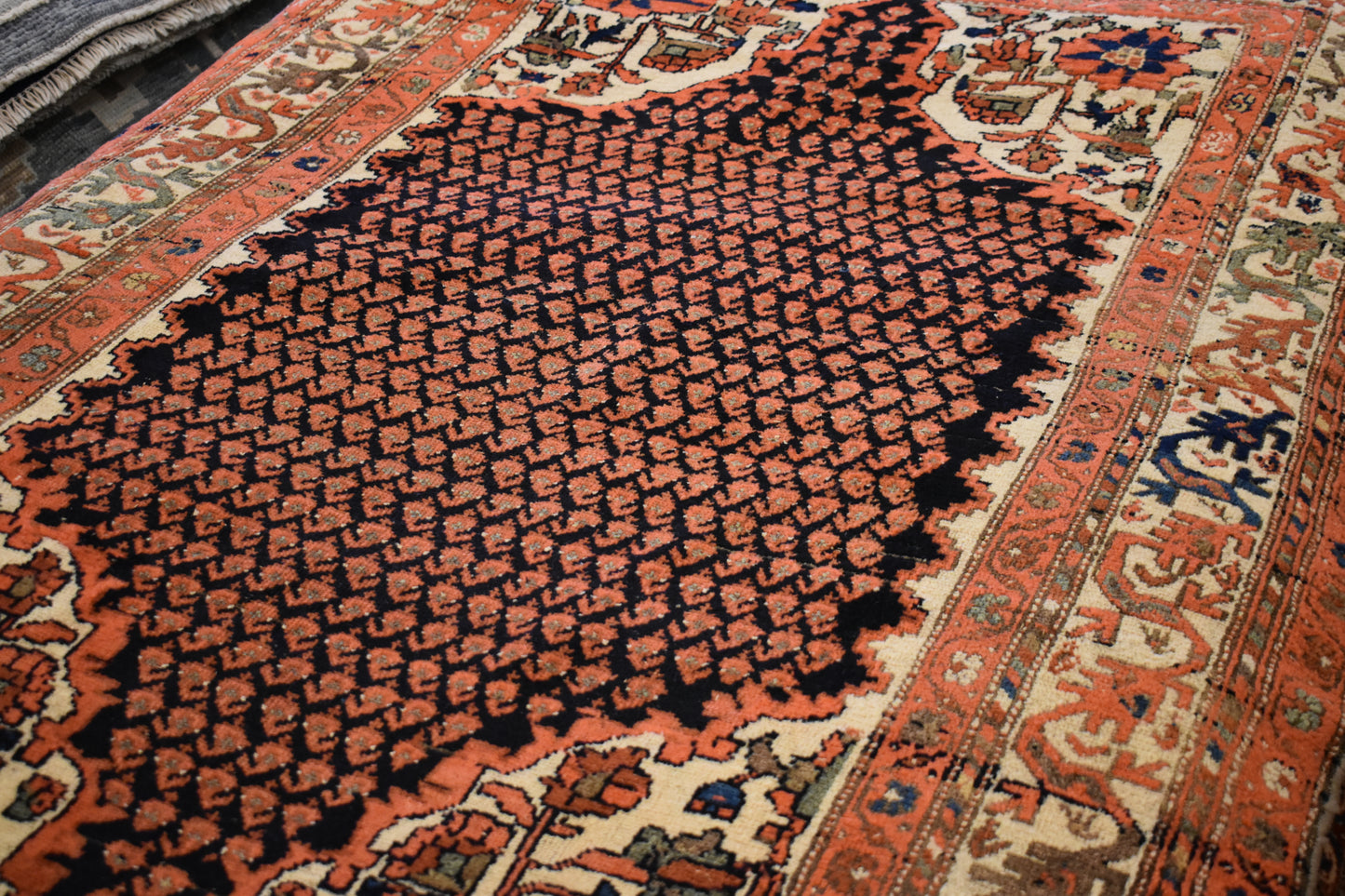 Persian Kurdish - 4.4x6.7 - MA827252