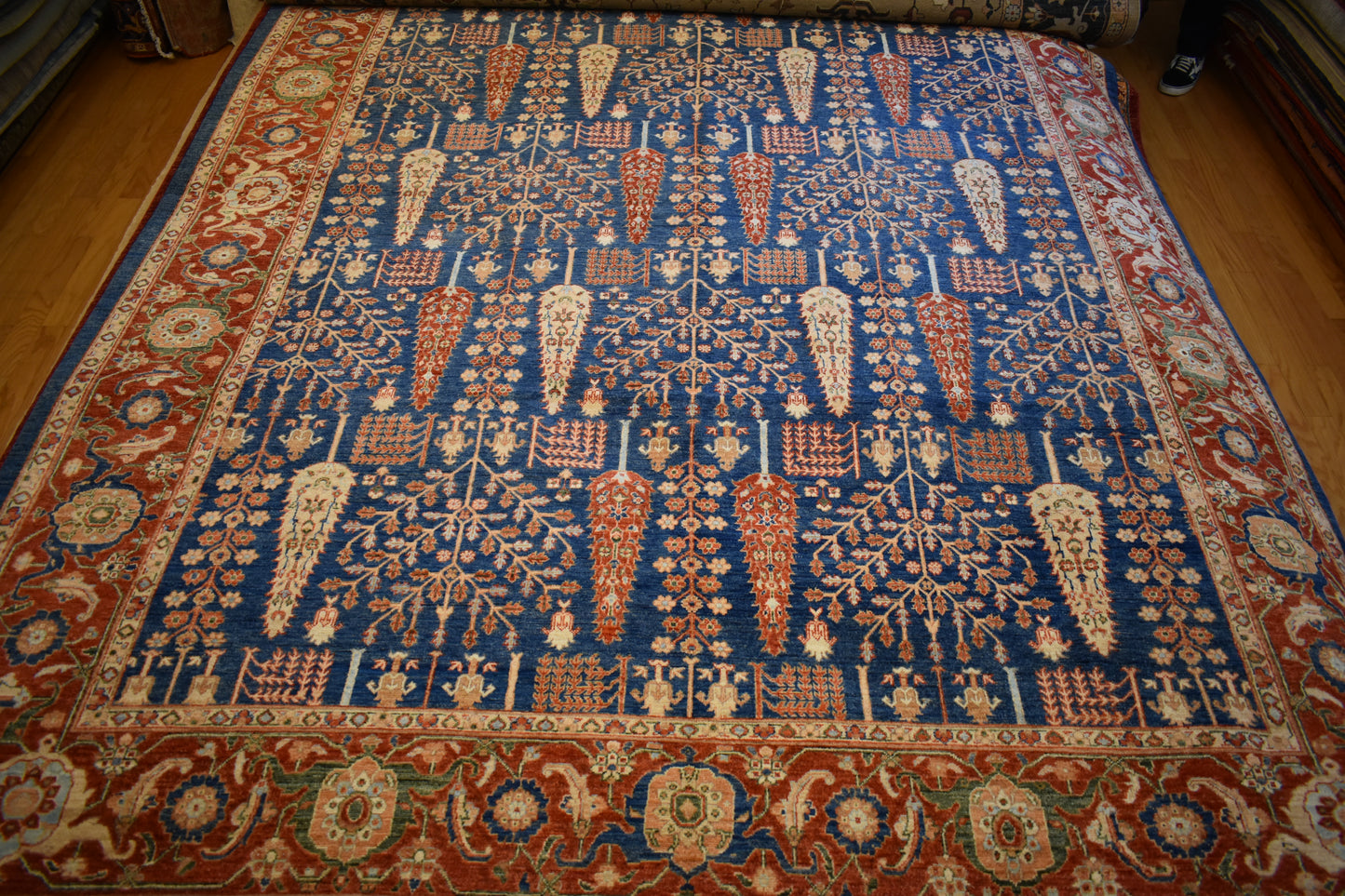 Afghan Bidjar - 8.9x11.9 - 145-14