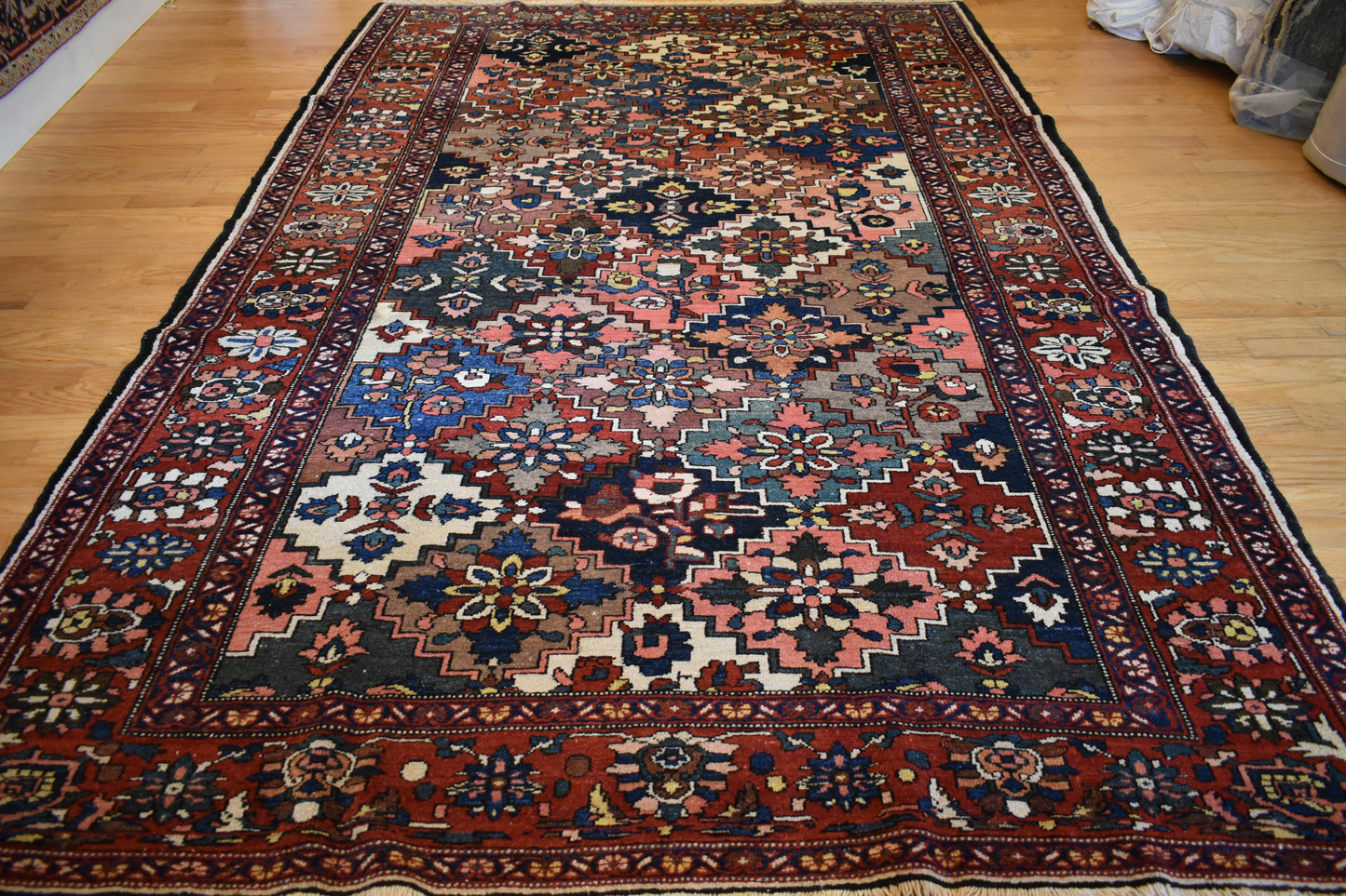Persian Baktarie - 7.1x10.9 - 116551