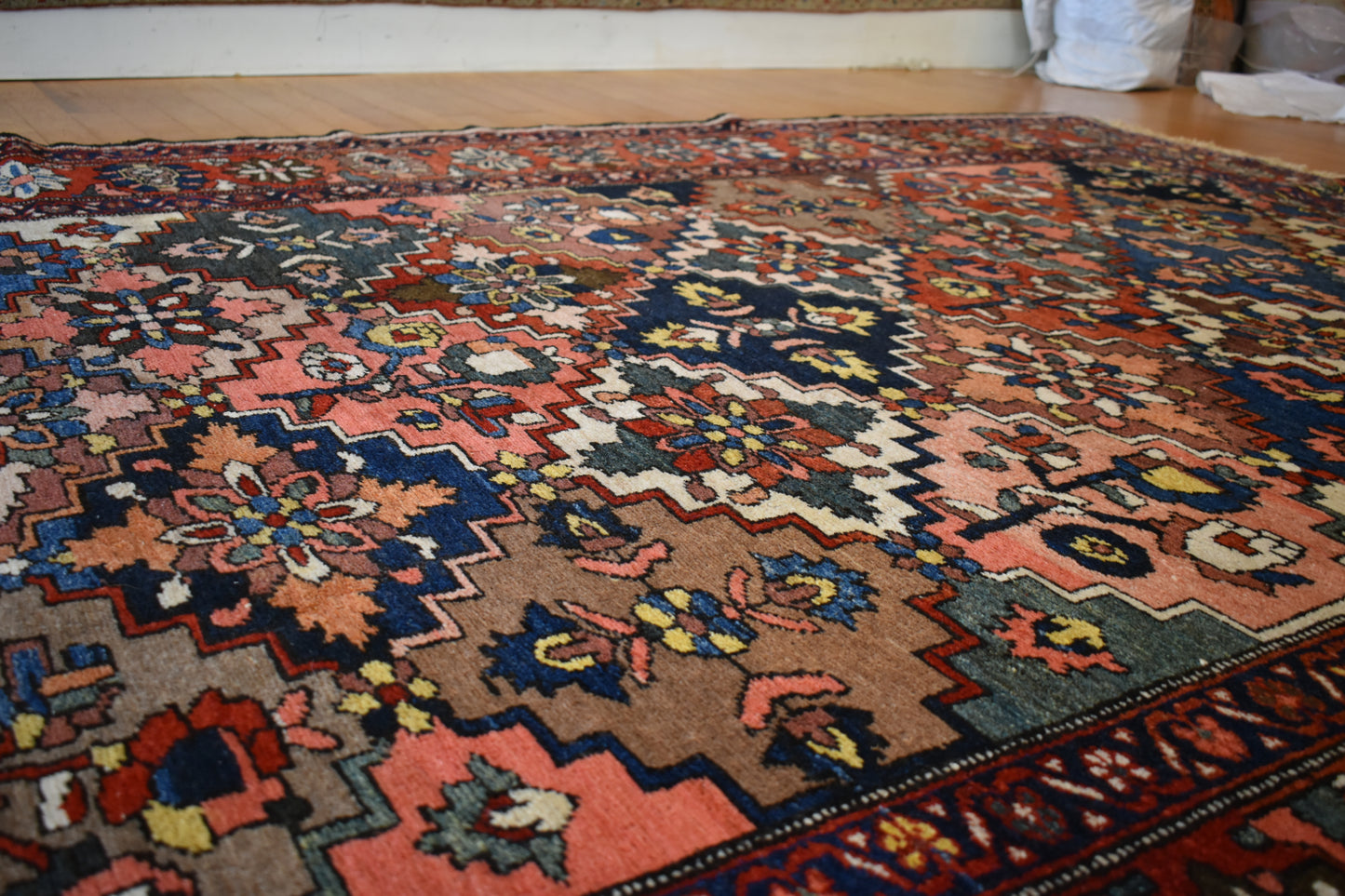 Persian Baktarie - 7.1x10.9 - 116551