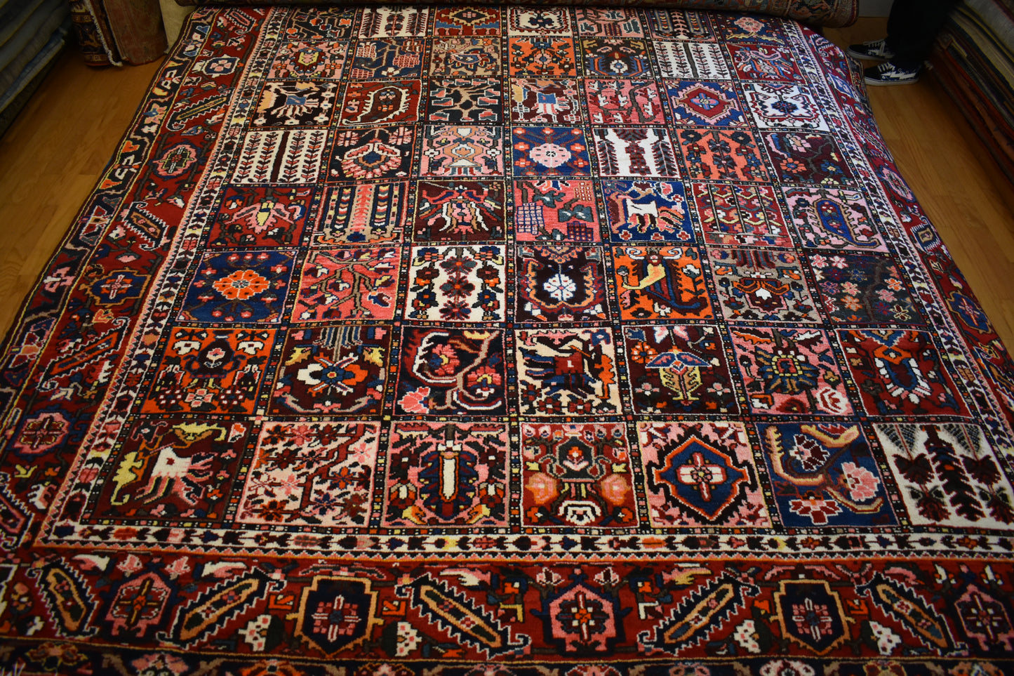 Persian Baktarie - 9.3x11.9 - G4588