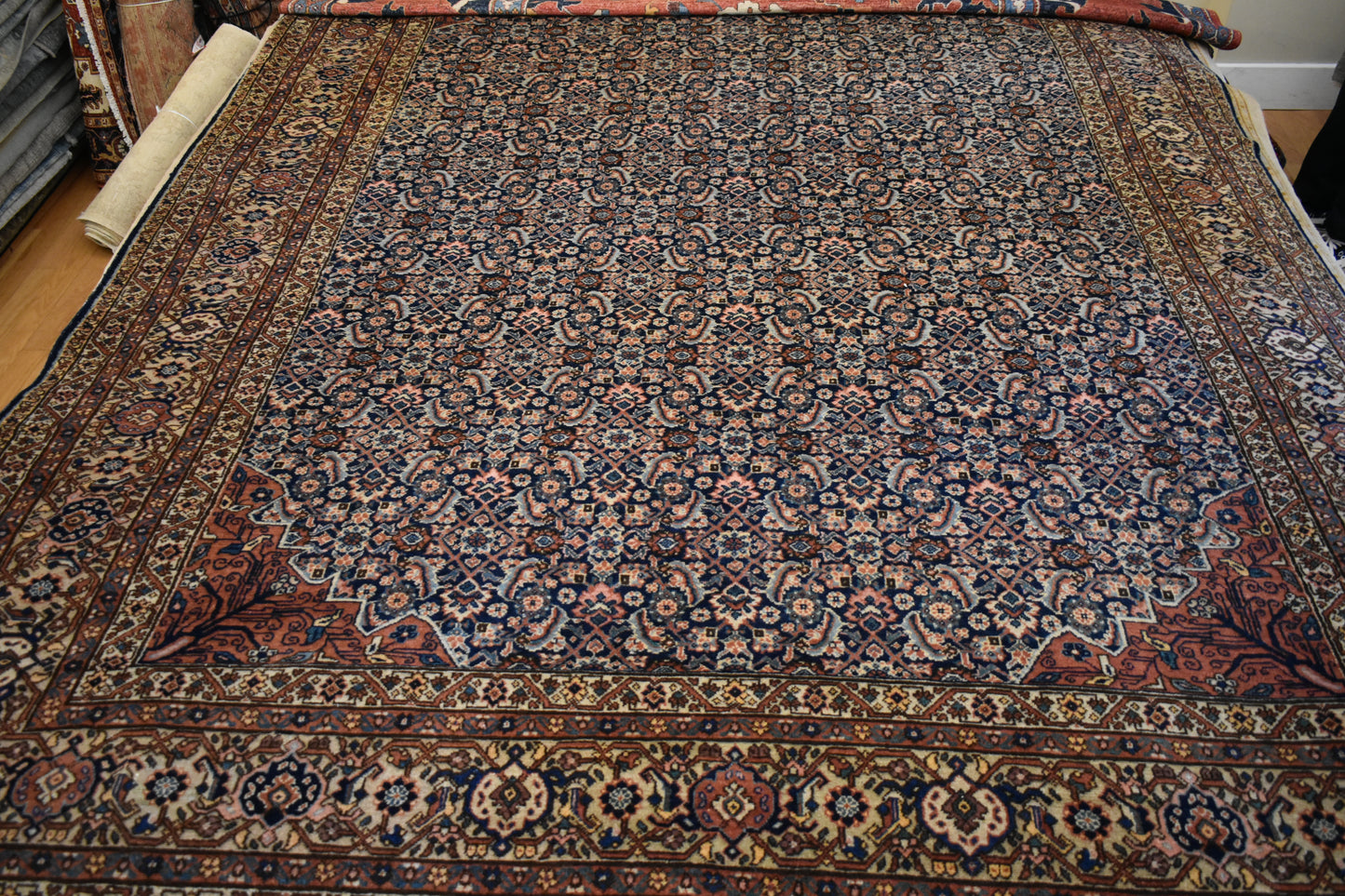 Persian Farahan - 8.7x11.7 - 116935