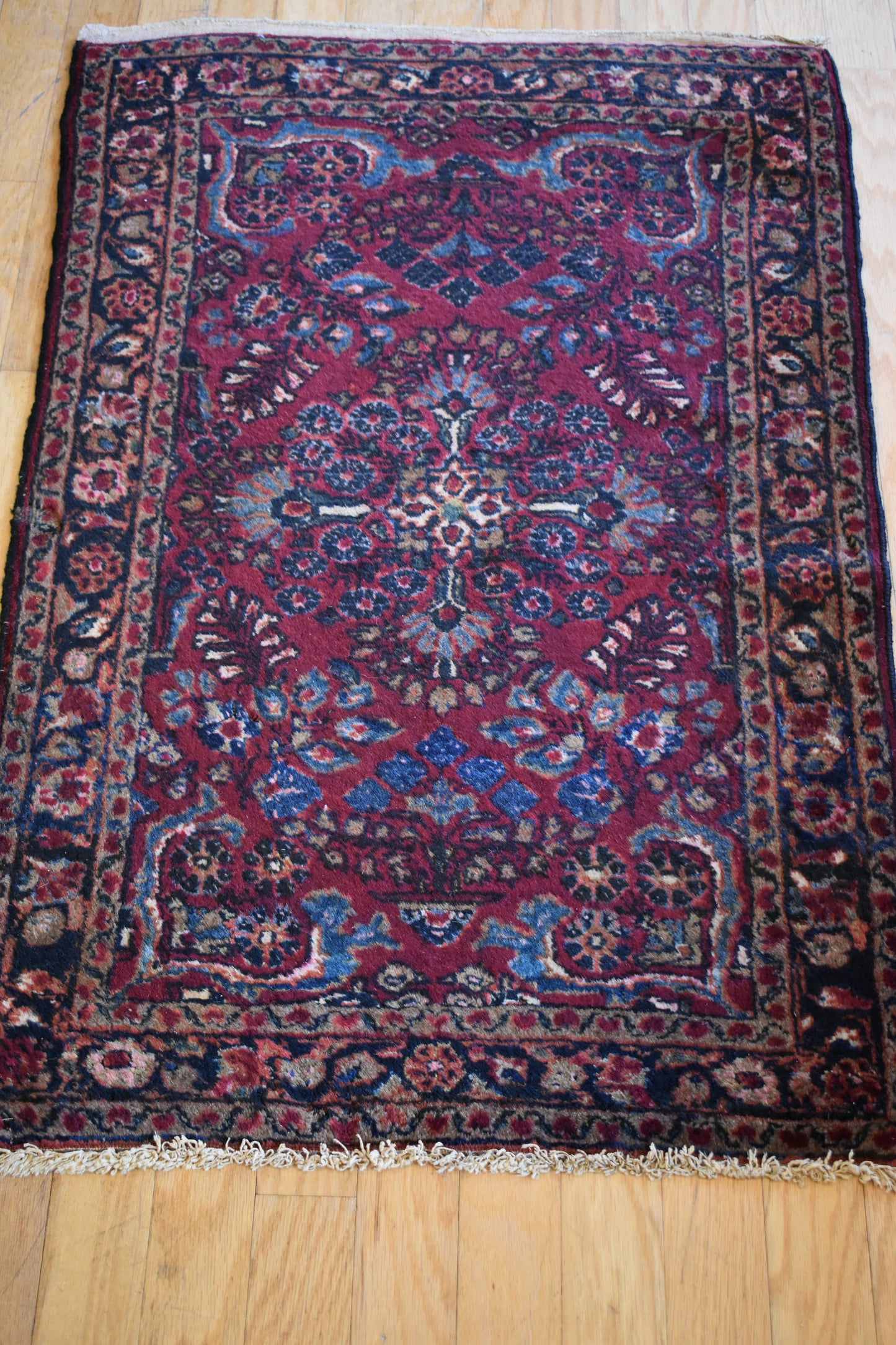 Persian Lilian - 2.7x4.0 - I5448