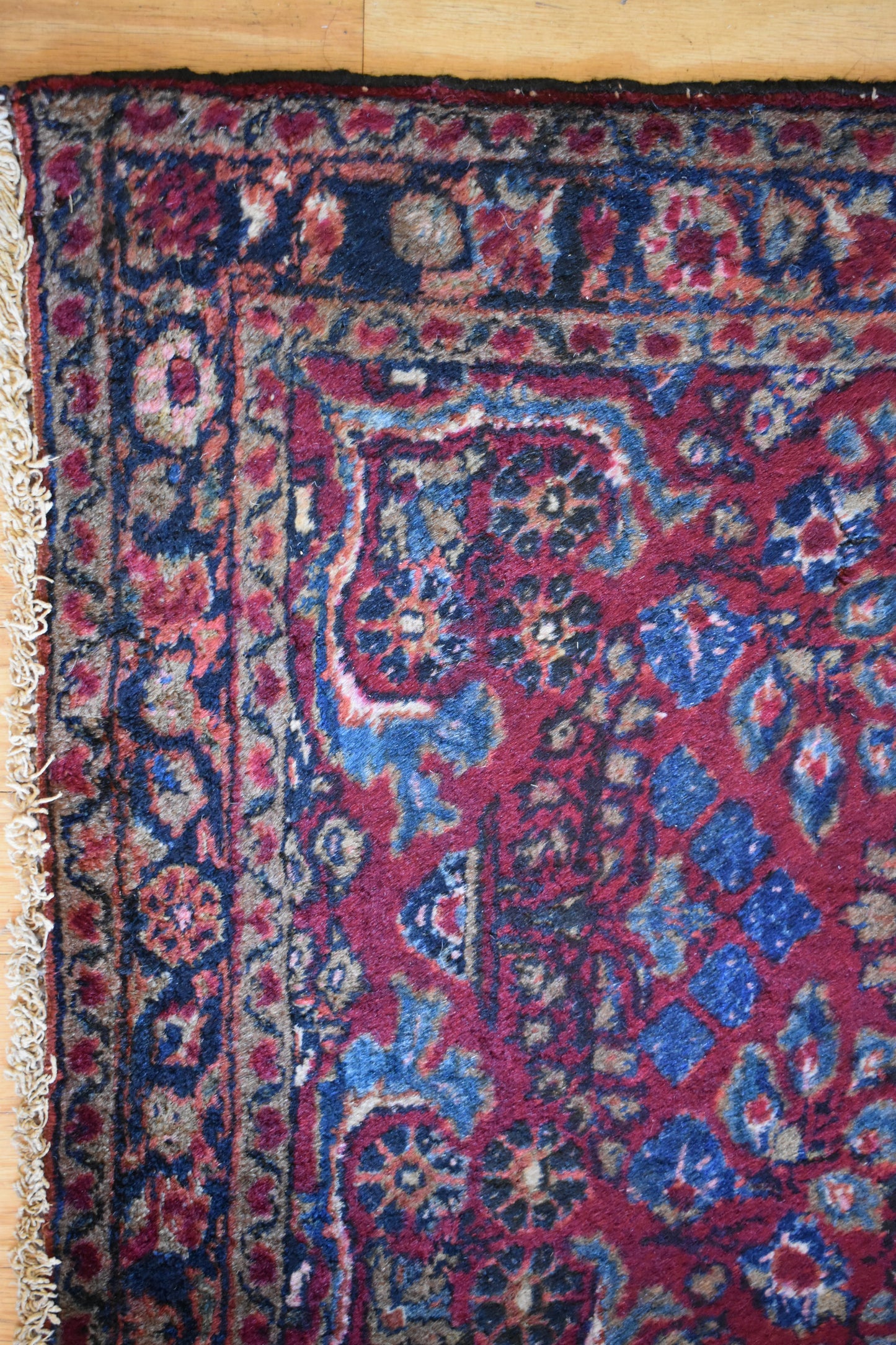 Persian Lilian - 2.7x4.0 - I5448
