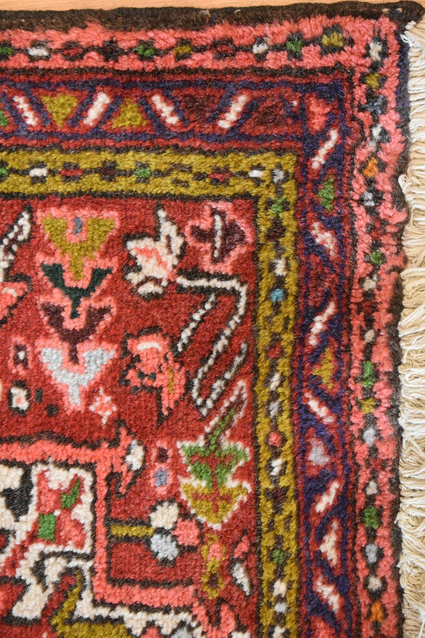 Persian Karajh - 2.4x4.9 - H4861