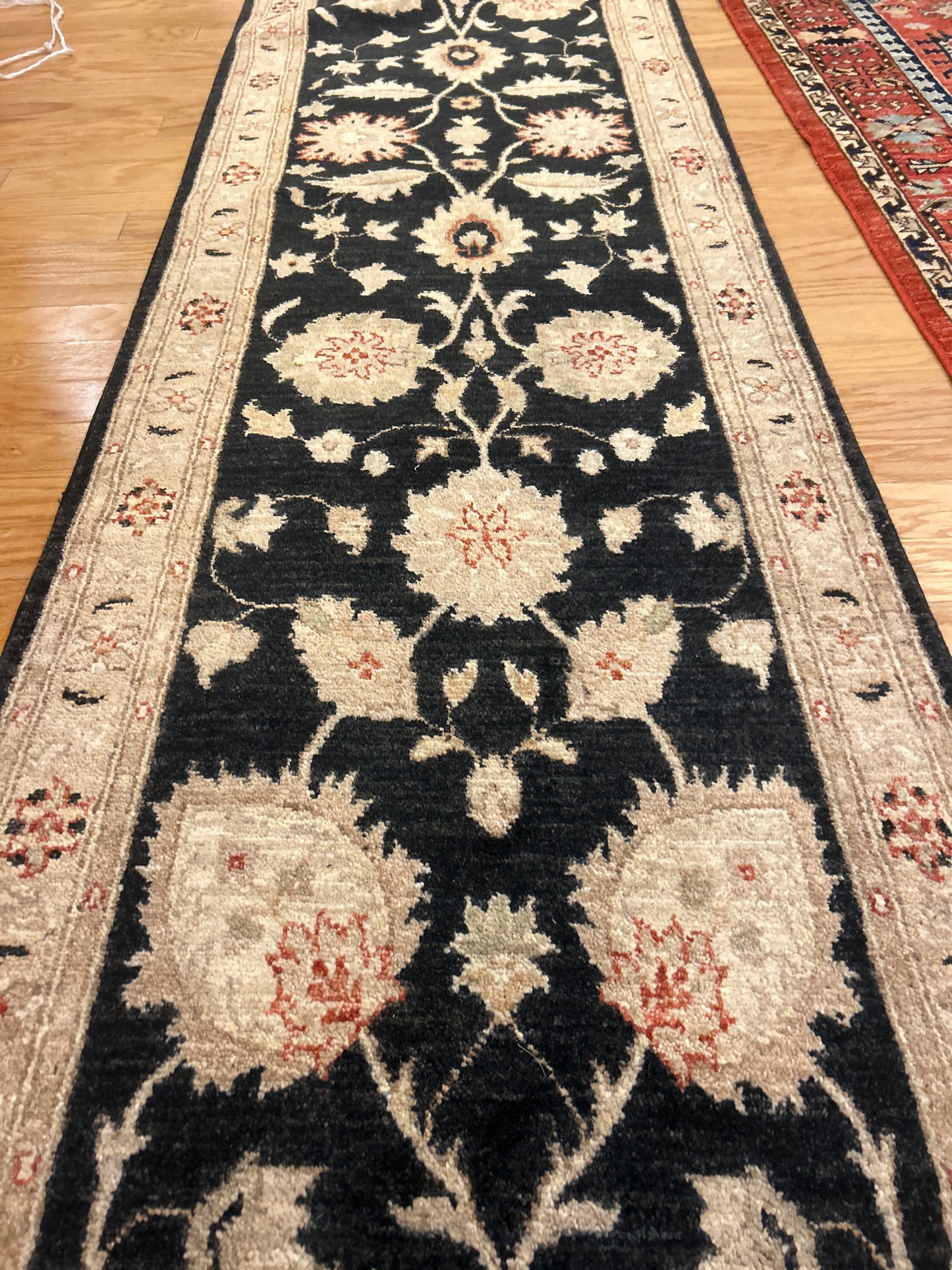 Pakistan Peshawar - 2.7x20.1 - L6166