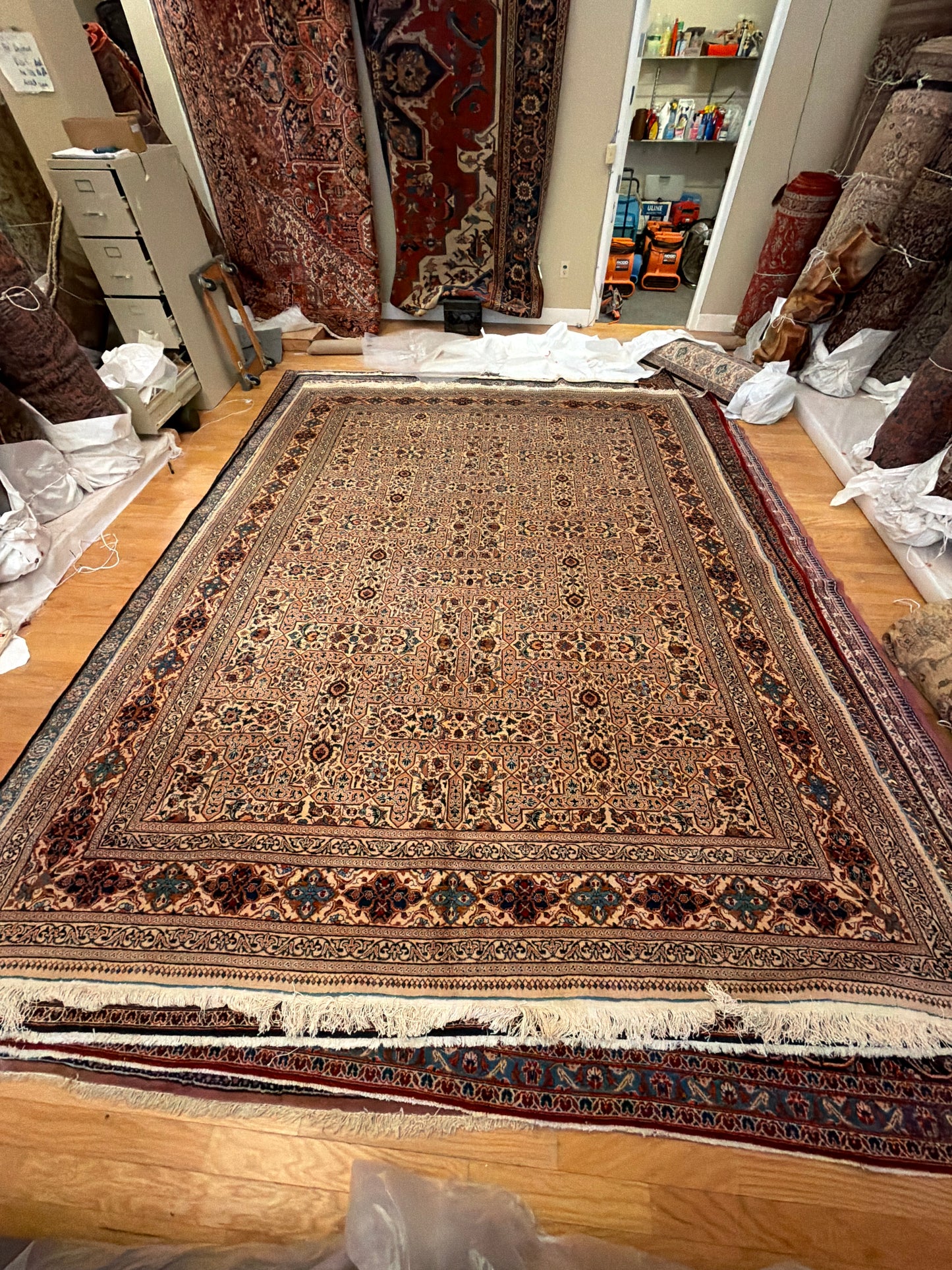 Persian Khorasan - 9.8x12.5 - 114231