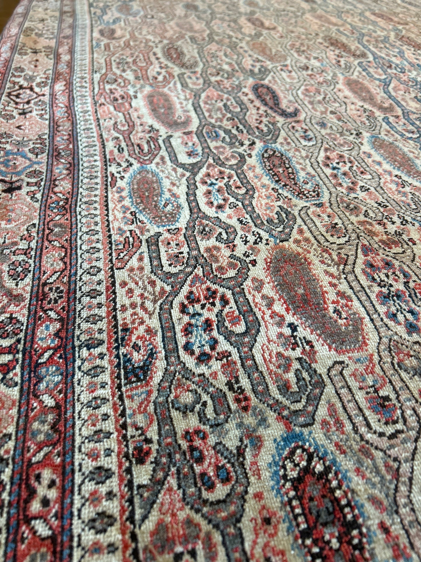 Persian Paisley - 4.3x6.0 - Z23695