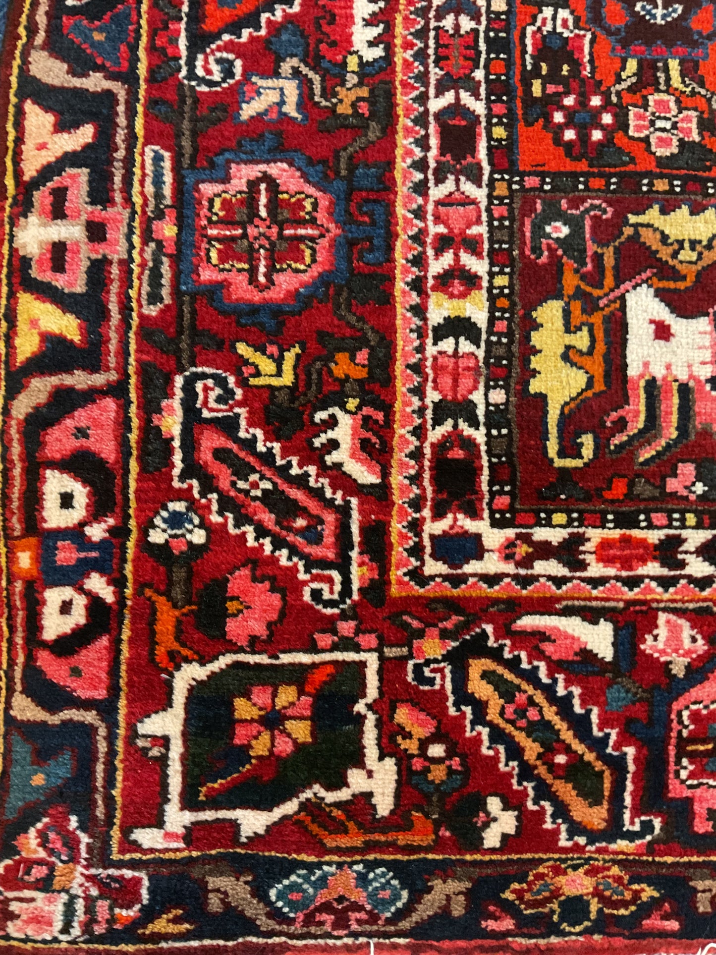 Persian Baktarie - 9.3x11.9 - G4588