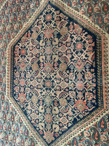 Antique Persian Sarouk Farahan Rug, 4'2" x 6'2", in ivory, navy, red and salmon - photo 6