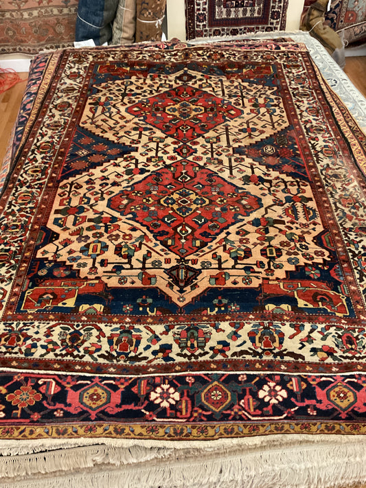 Persian Baktarie - 7.4x10.2 - 11765BN