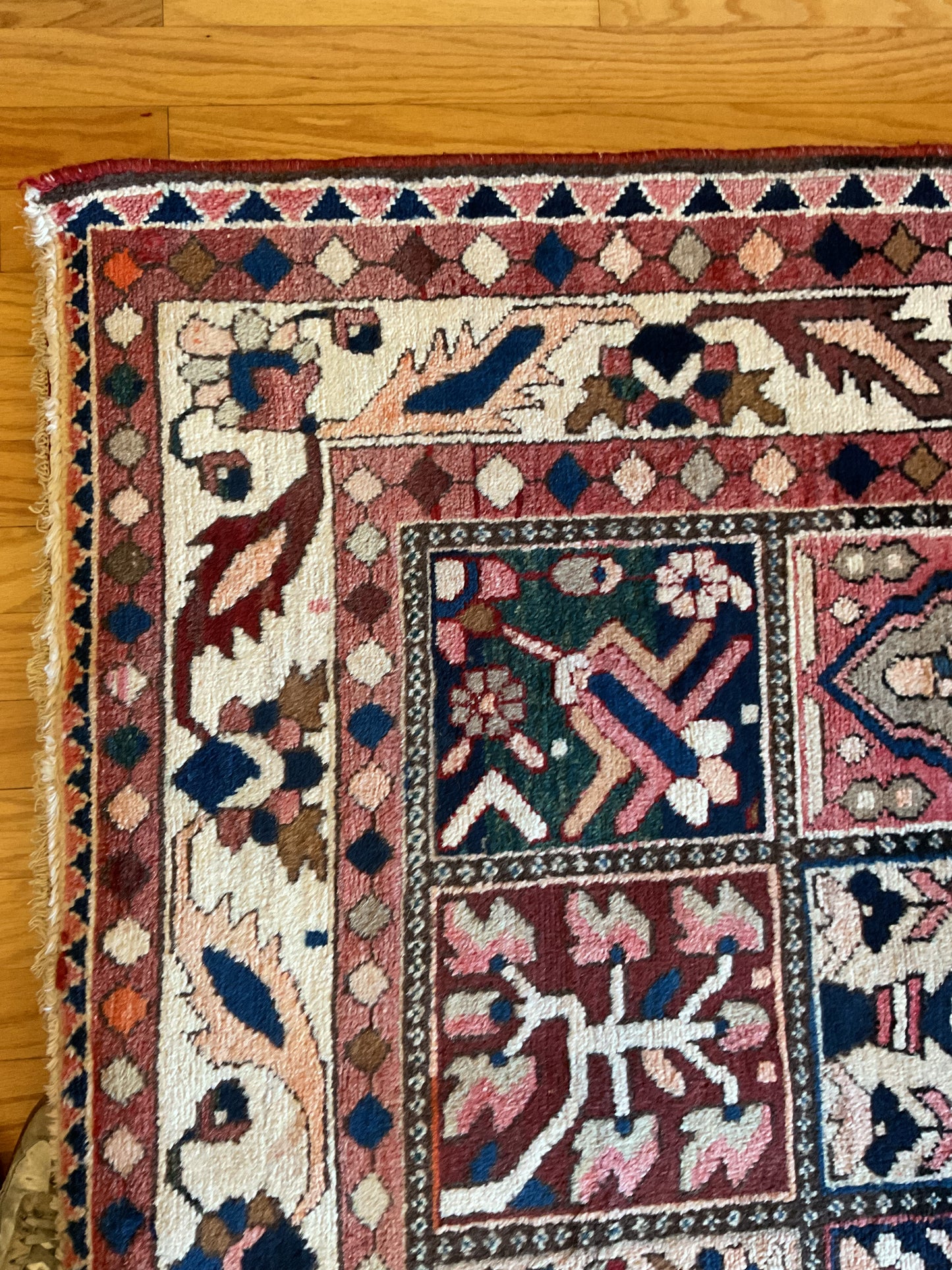 Persian Baktarie - 5.7x9.10 - 113362