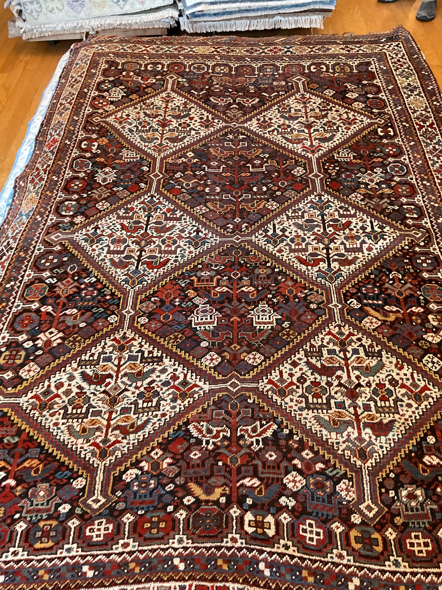 Persian Shiraz - 5.9x8.1 - FA11793