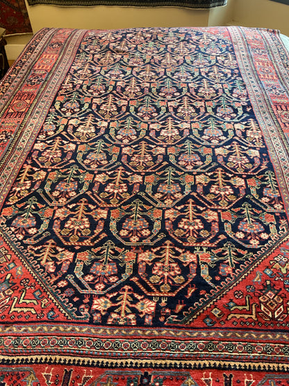 Antique Persian Afshar Rug, 5'7" x 9'4", in ivory, navy, rust and salmon