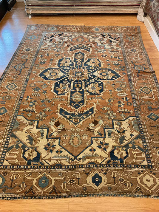 Persian Serapi - 9.5x13.2 - 1128931