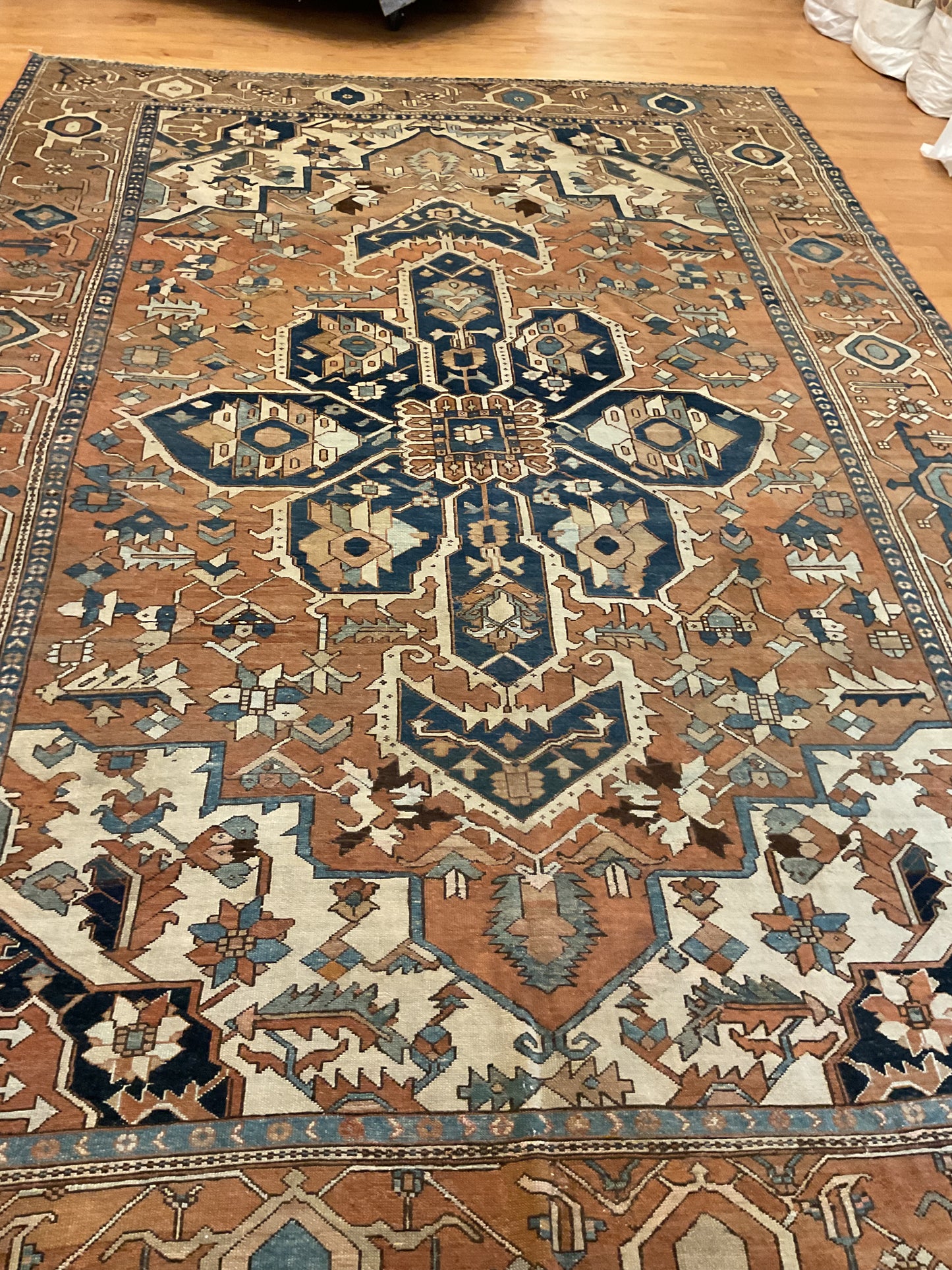 Persian Serapi - 9.5x13.2 - 1128931