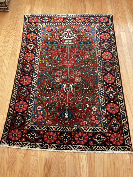 Persian Baktarie - 4.8x7.0 - P6157