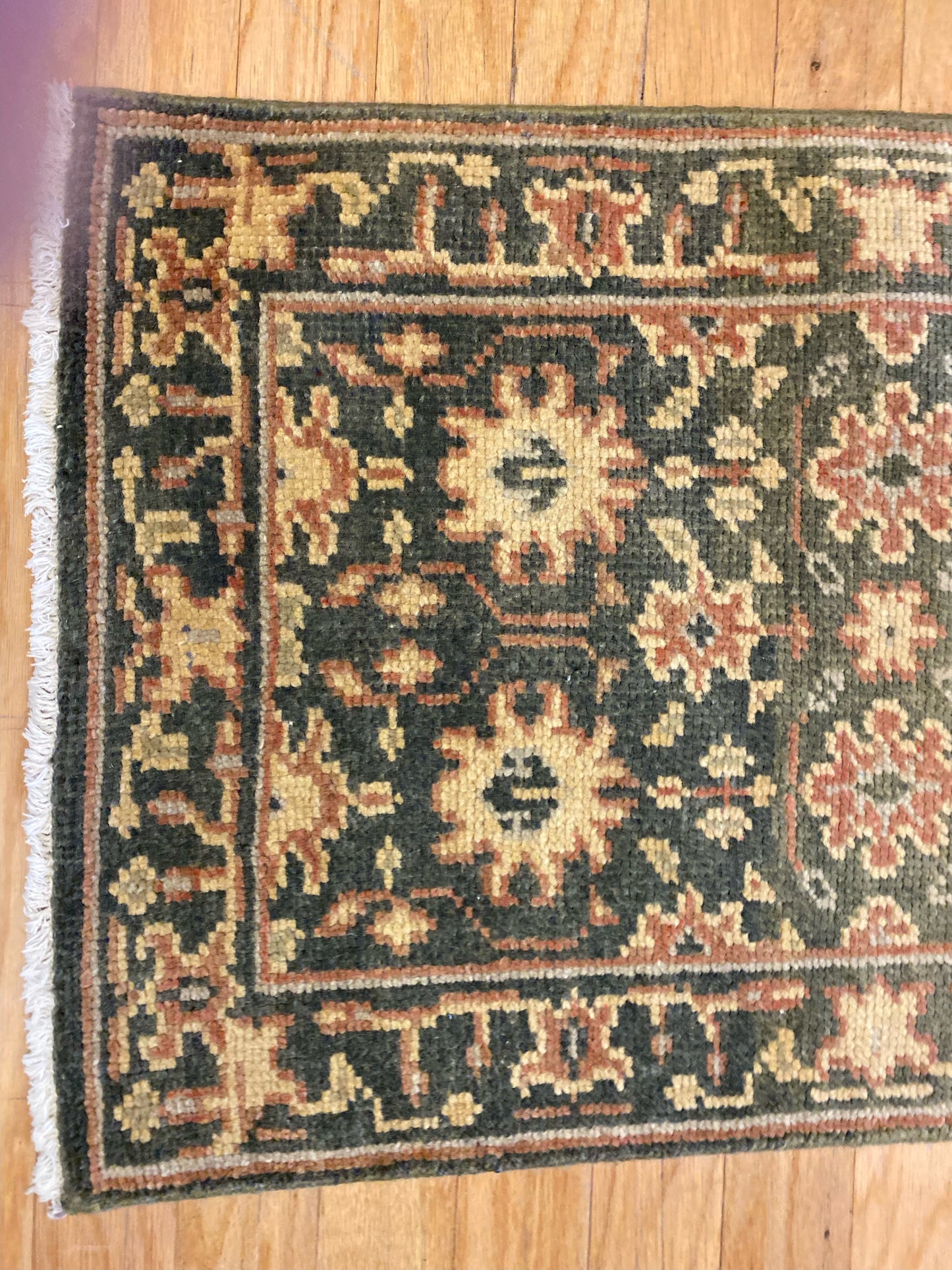 Clearance - Transitional India Mohal Rug